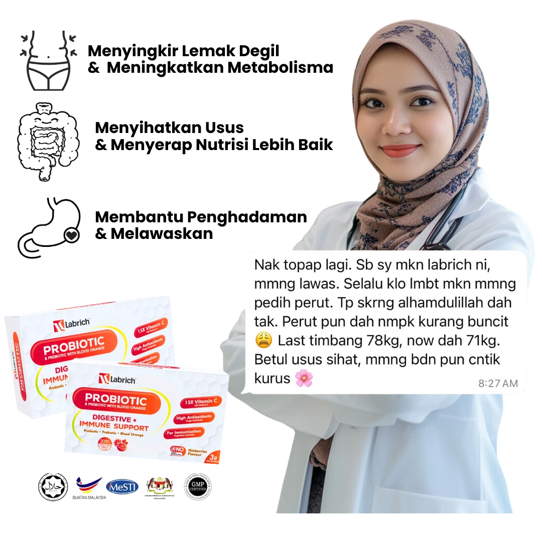 my-lab-rich-head-v1.webp